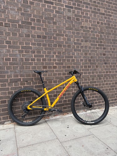 Santa cruz chameleon large - cruz,