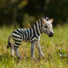 Schleich Zebra Foal | Retired