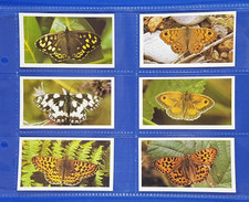 Grandee Cigar Cards BRITISH