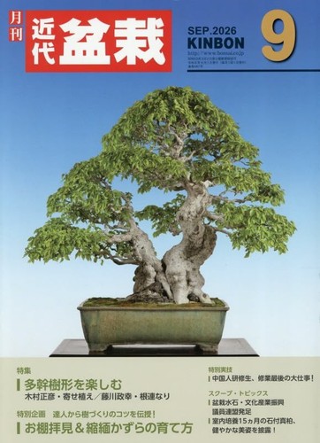 Kindai bonsai september 2026 - kindai,