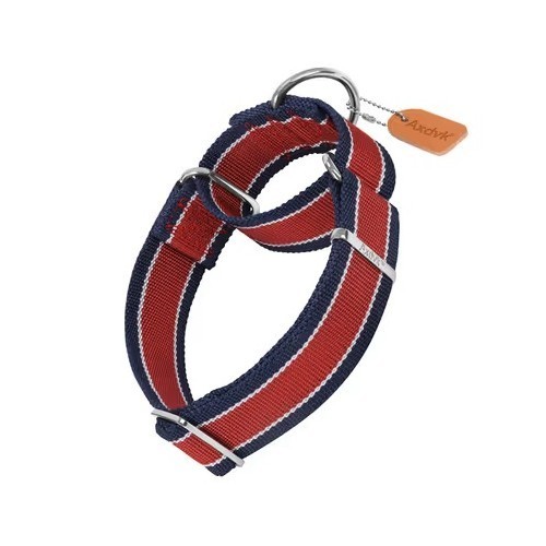 Martingale dog collar - dog, 4cm
