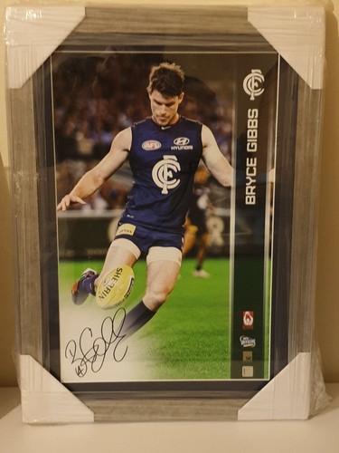 Carlton blues bryce gibbs - carlton,