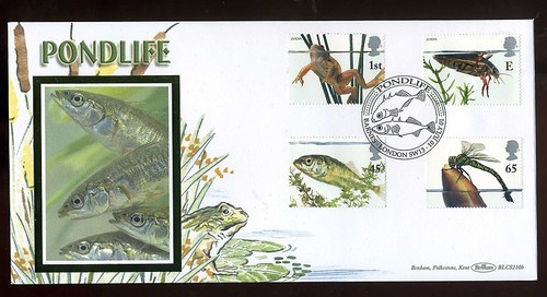 2001 pond life benham - 2001,