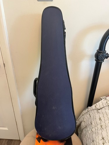 Violin carry case - case,