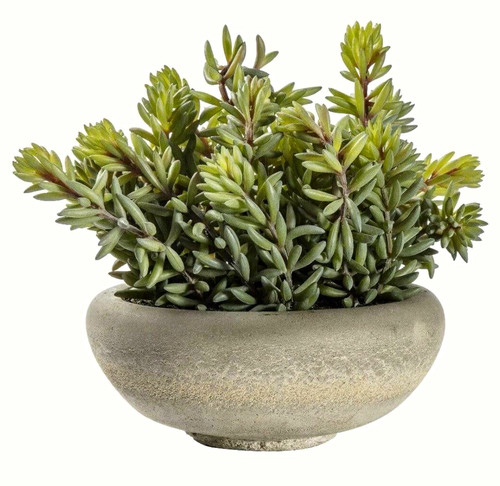 Artificial green succulent - green,