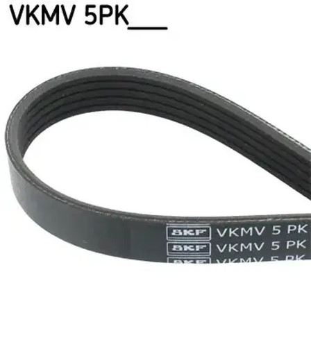 Multi ribbed belt vkmv - multi-ribbed,