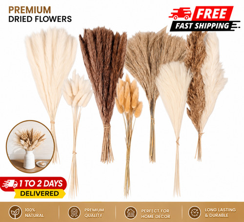 Pcs pampas grass decor - pcs,