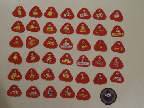 Cub scout proficiency - cub, proficiency/activity