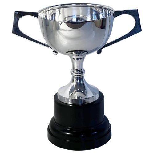 Trophy cup 23cm with - 23cm,