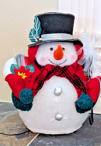 Snowball fiber optic - mr,