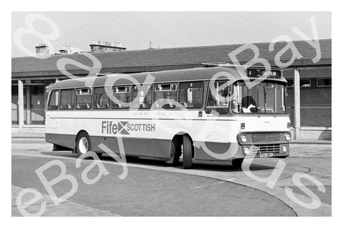 Bus photograph fife scottish - photograph,