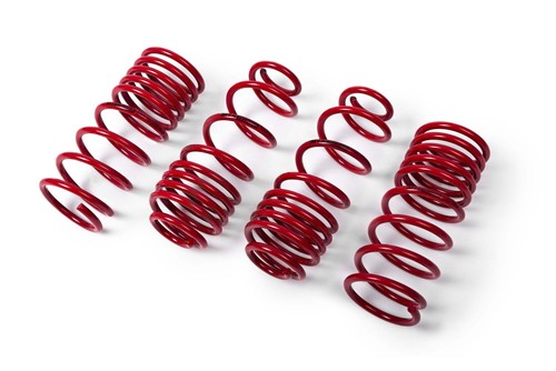 Mts technik lowering springs - mts,