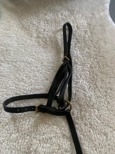 Leather foal slip - foal,