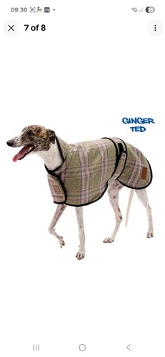 Ginger ted tweed - ginger,