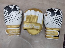 kids boxing gloves and pad