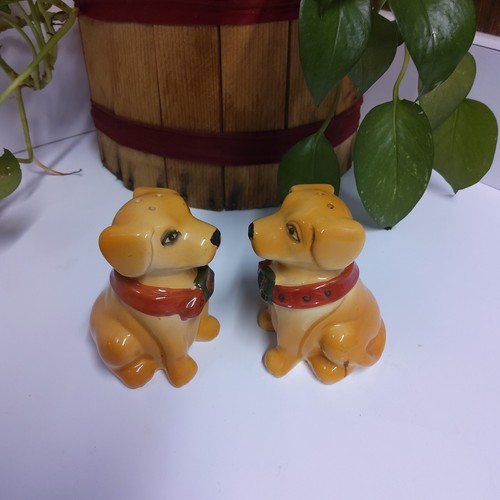 Yellow dogs identical labrador - identical,