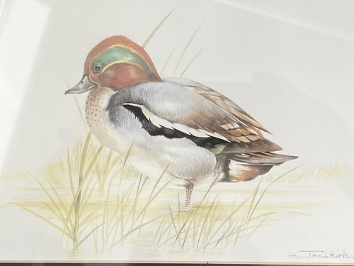 Joel kirk wood duck print - joel,