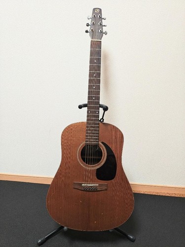 Seagull cedar acoustic - m6,