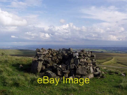 Photo 6x4 old sheep - 6x4,