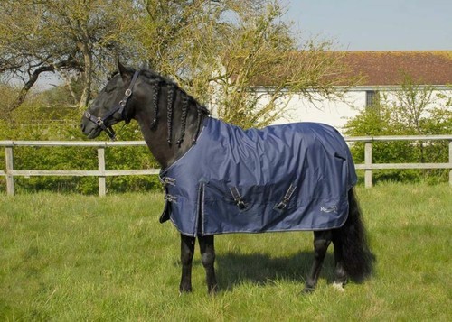 Rhinegold torrent outdoor rug - torrent,