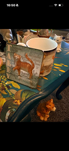 Arora design tiny pedigree - arora,
