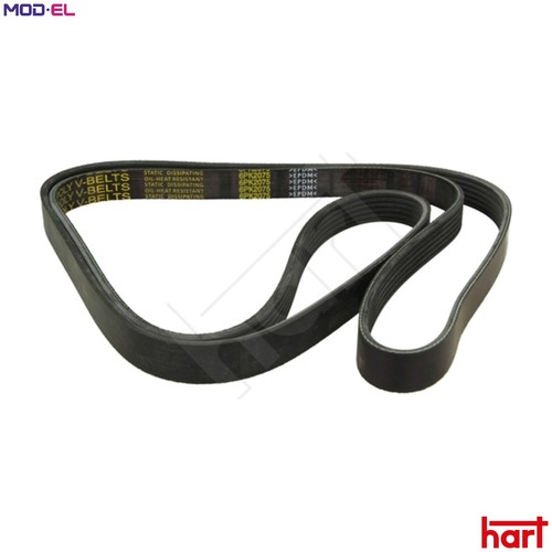 Vribbed belt 338 - 062, vw