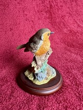 Border Fine Arts Birds - Robin