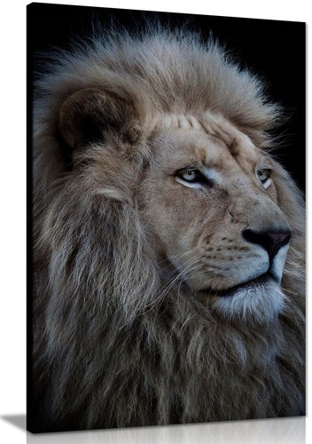 Proud king lion portrait - lion,