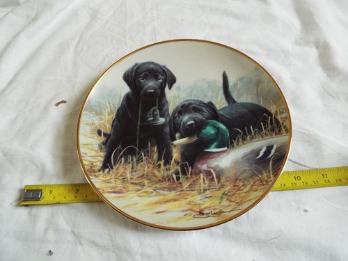 Franklin mint beginners luck - franklin,
