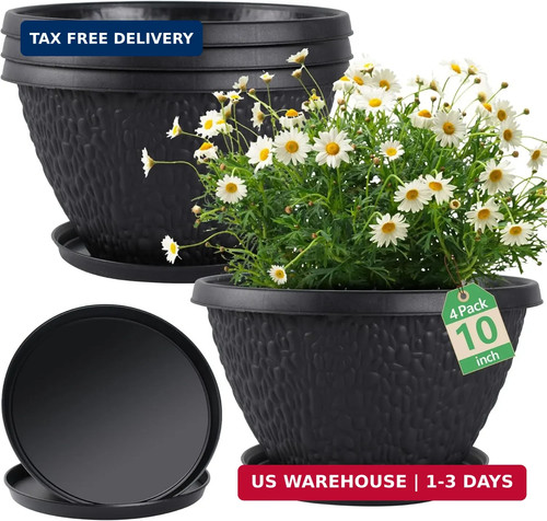 Pack inch plant pots - plant, for