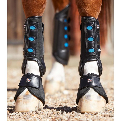 Premier equine air cooled - premier,