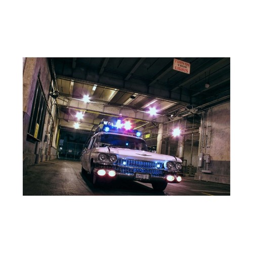 Poster ecto ghostbuster - ,