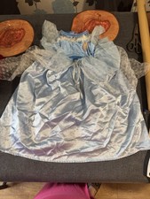 Cinderella Fancy Dress