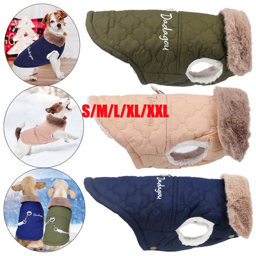 Pet dog vest - pet, autumn