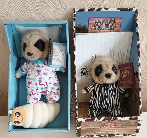 Two baby oleg meerkats - two,