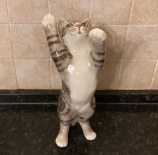 Winstanley Tabby Cat Size 5