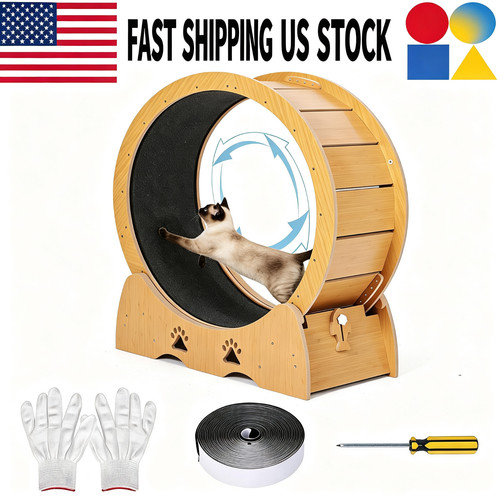 Cat exercise wheel wooden - exercise,