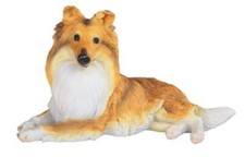 Shetland Sheepdog 18104