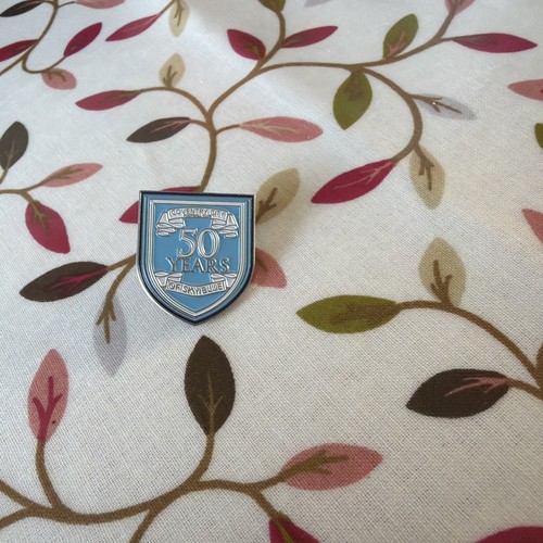 Coventry city pin badge - city,