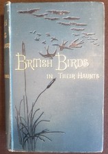 British Birds In Their Haunts
