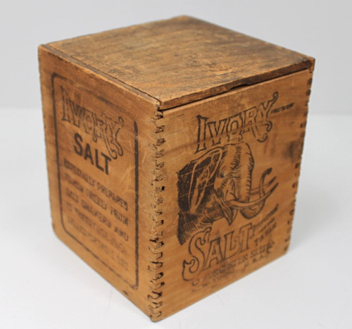 Ivory salt perfection - ivory,