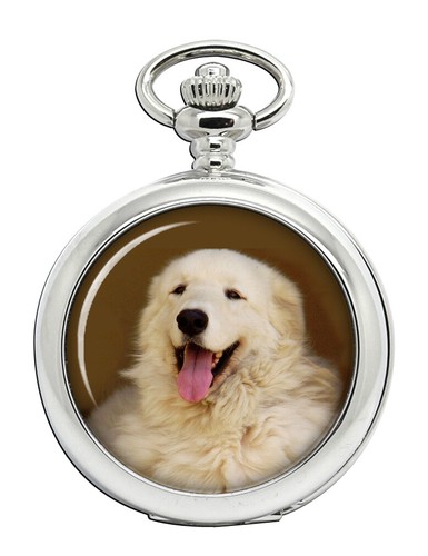 Kuvasz dog pocket watch - kuvasz,