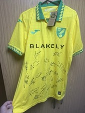 Norwich City Signed Football