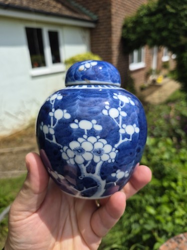 Superb antique chinese prunus - antique,