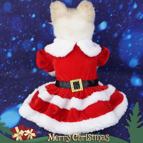 Dog christmas dress - dog,