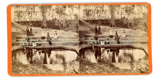 Jacksonville green cove - -,
