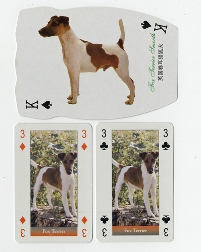 Smooth fox terrier vintage - fox, dog