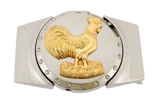 Removable lighter belt - lighter, buckle