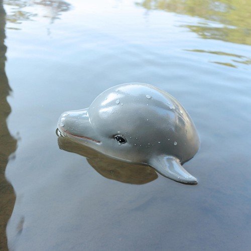 Dolphin statue landscape - statue,