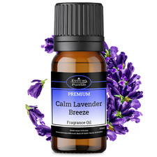 10ML Fragrance Oil - 160+